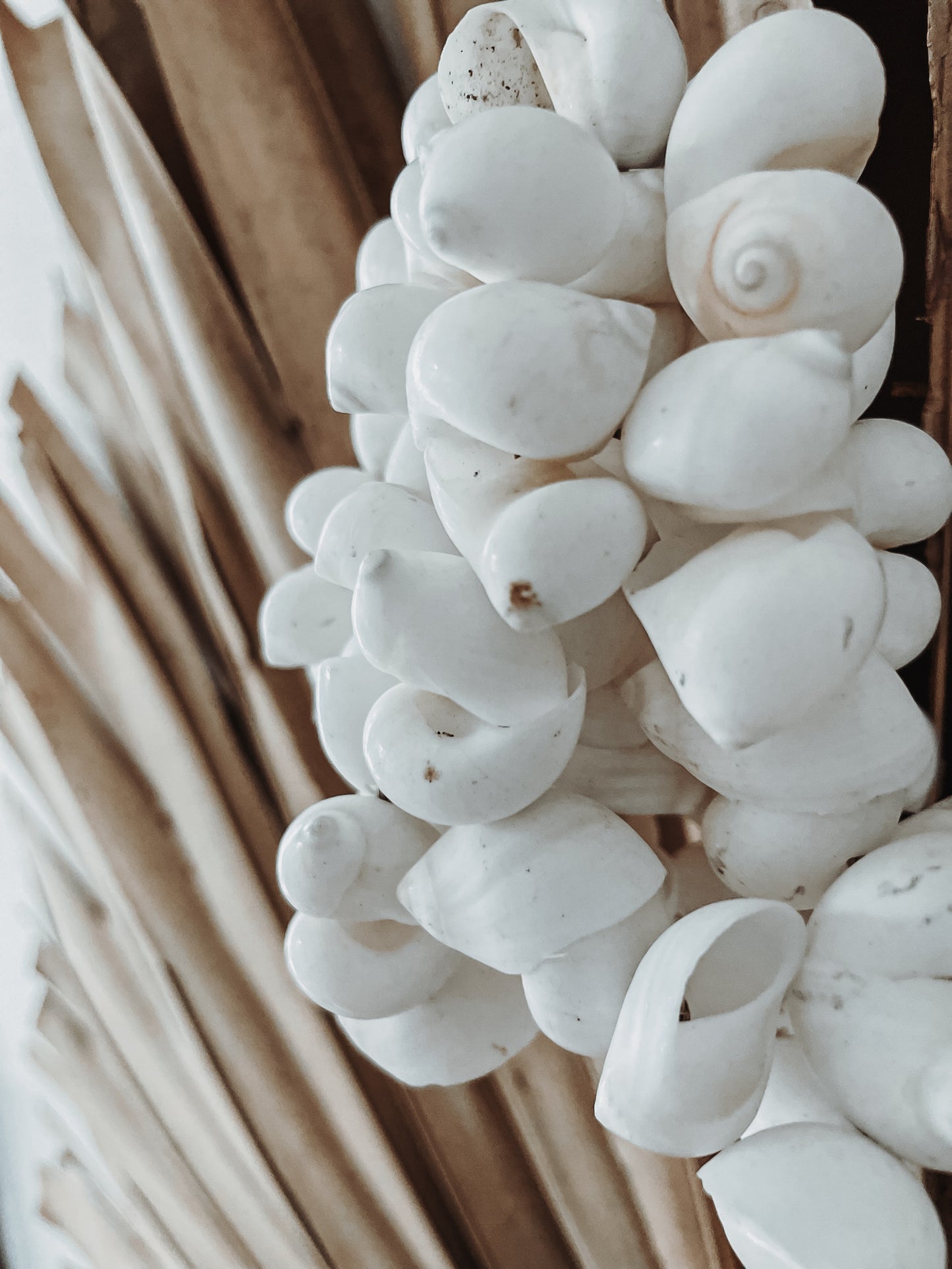 Muschel Tassel Sabrina