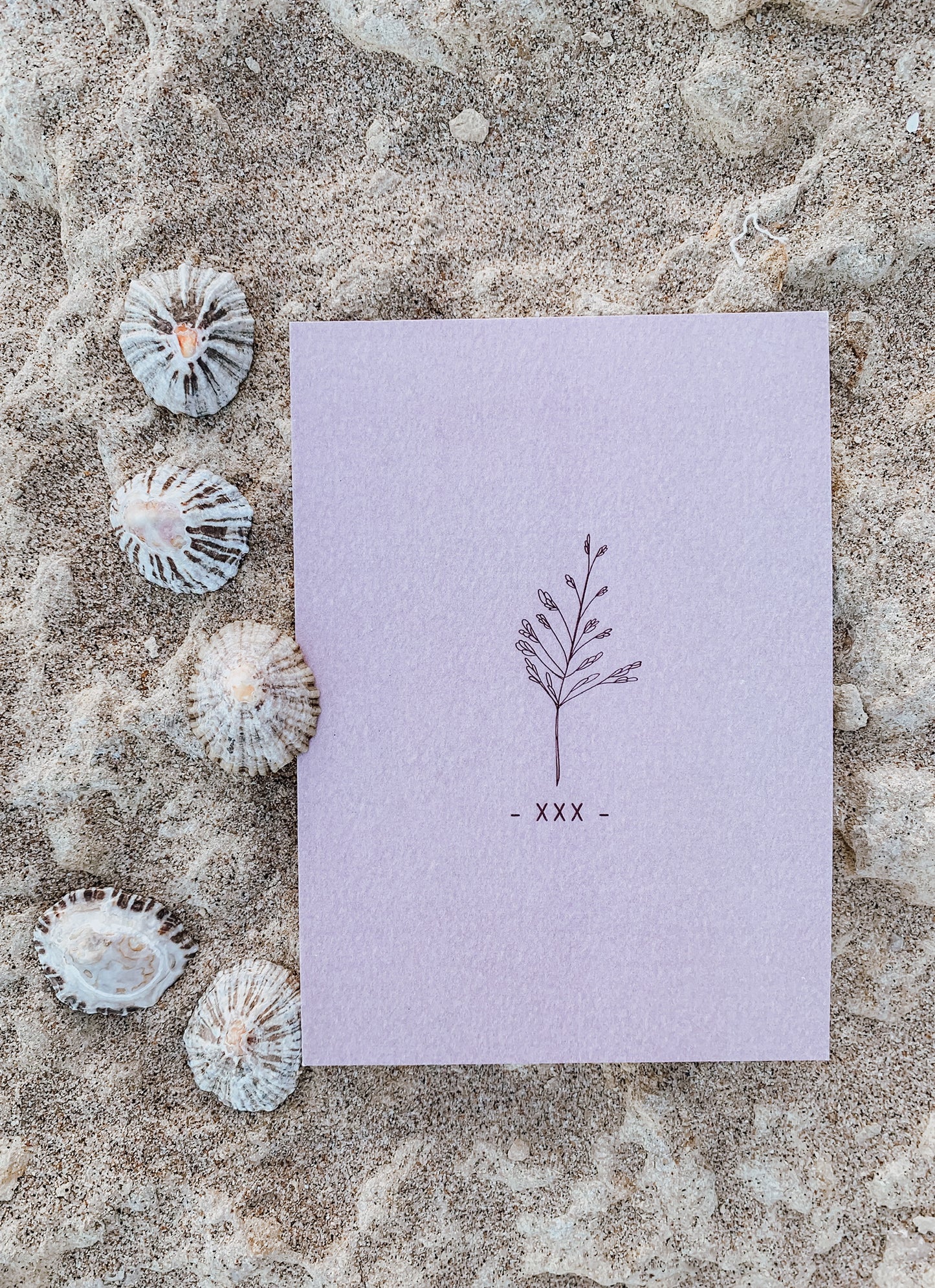 Postkarte •Farn•