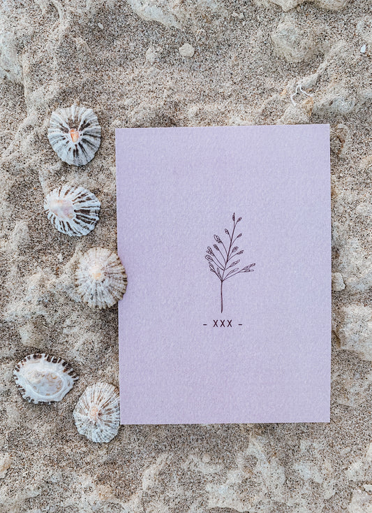 Postkarte •Farn•